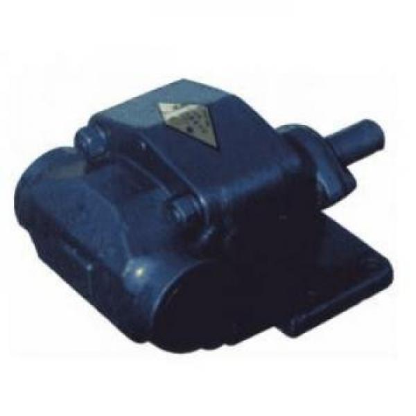 QT2323-9-9MN-S1160-A Pompat gear #3 image