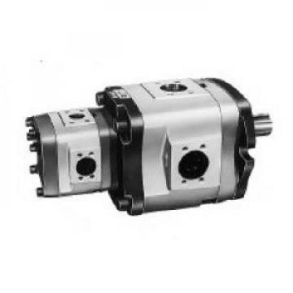 BCB-50/1.6 Pompat gear #2 image